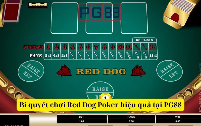 Bí quyết chơi Red Dog Poker hiệu quả tại PG88