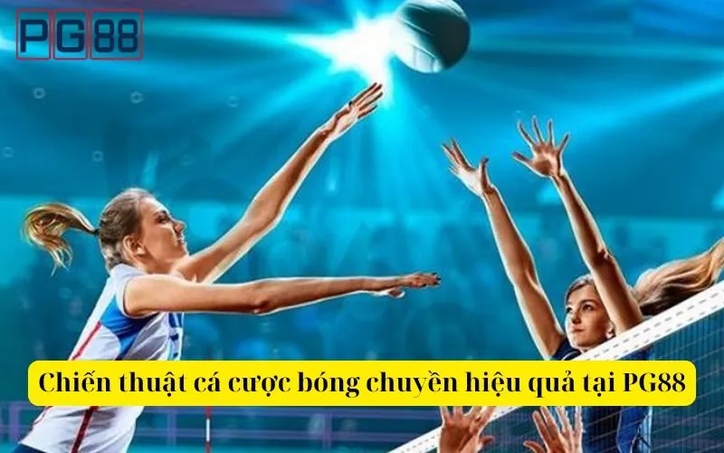 Chiến thuật cá cược bóng chuyền hiệu quả tại PG88