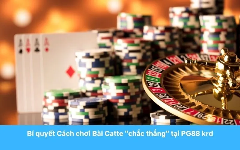 Chiến thuật chơi Catte hiệu quả