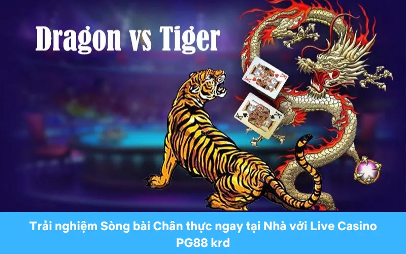 Chơi Dragon Tiger an toàn và có trách nhiệm cùng PG88 krd