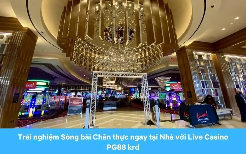 Khám phá thế giới trò chơi tại Live Casino PG88 krd