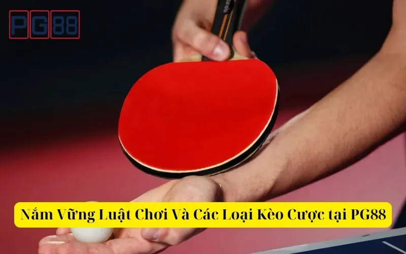 Nắm Vững Luật Chơi Và Các Loại Kèo Cược tại PG88